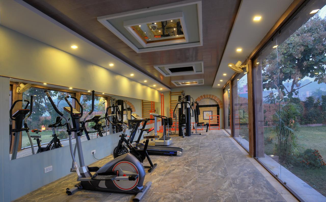Treehouse Amaara A Boutique Hotel 焦特布尔 外观 照片
