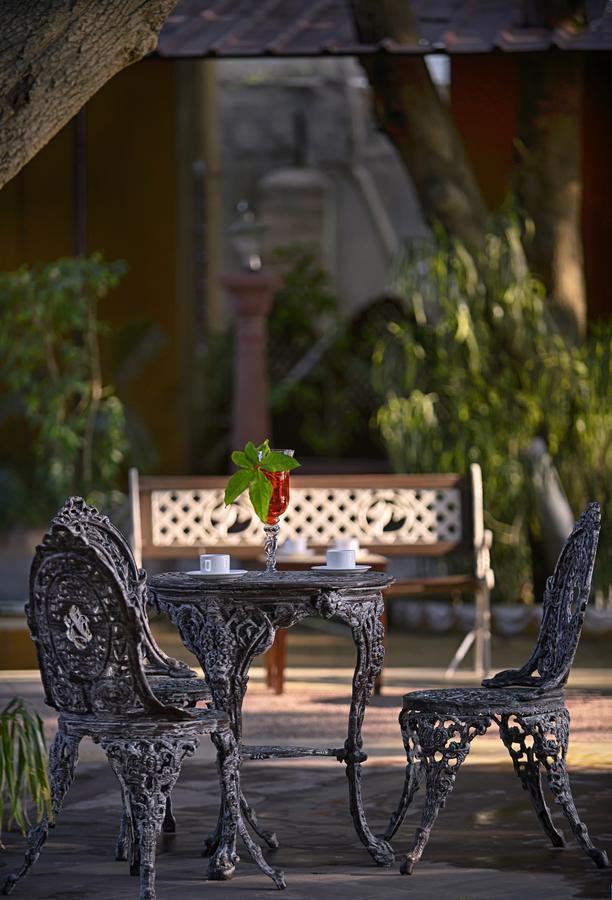 Treehouse Amaara A Boutique Hotel 焦特布尔 外观 照片